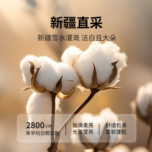 新疆棉花褥子床垫软垫纯棉床褥垫加厚被棉被宿舍学生单人垫被家用 - 图0