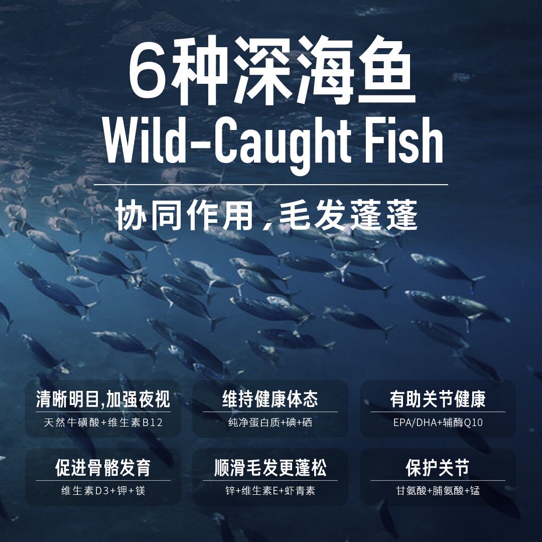 【自营】Orijen/渴望美国进口通用型六种鱼干粮鱼肉味猫粮5.4KG