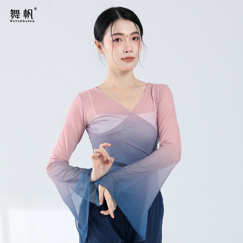 古典舞服装练功服中国舞舞蹈服新款古典舞纱衣渐变国风舞上衣服装