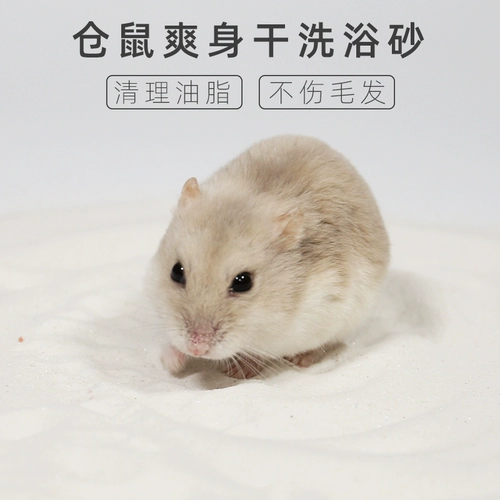 再再 Хомять ванна песчаная моча, песок, песок, один золотой шелковый медведь.