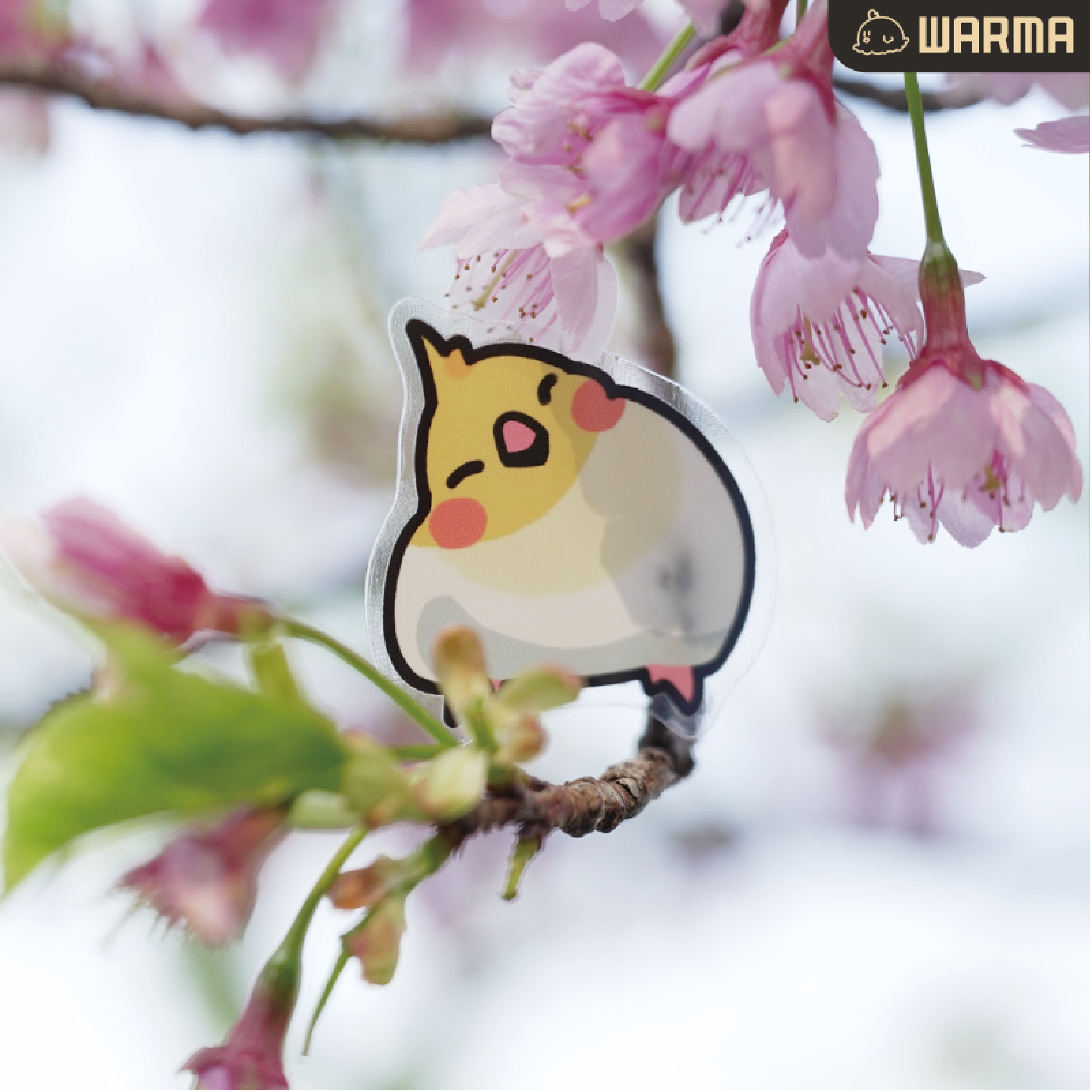 沃遇小鸟pvc贴纸透明底现货沃玛养鸡场warma周边文创文具,淘宝优惠券,粉丝福利购,淘宝优惠卷