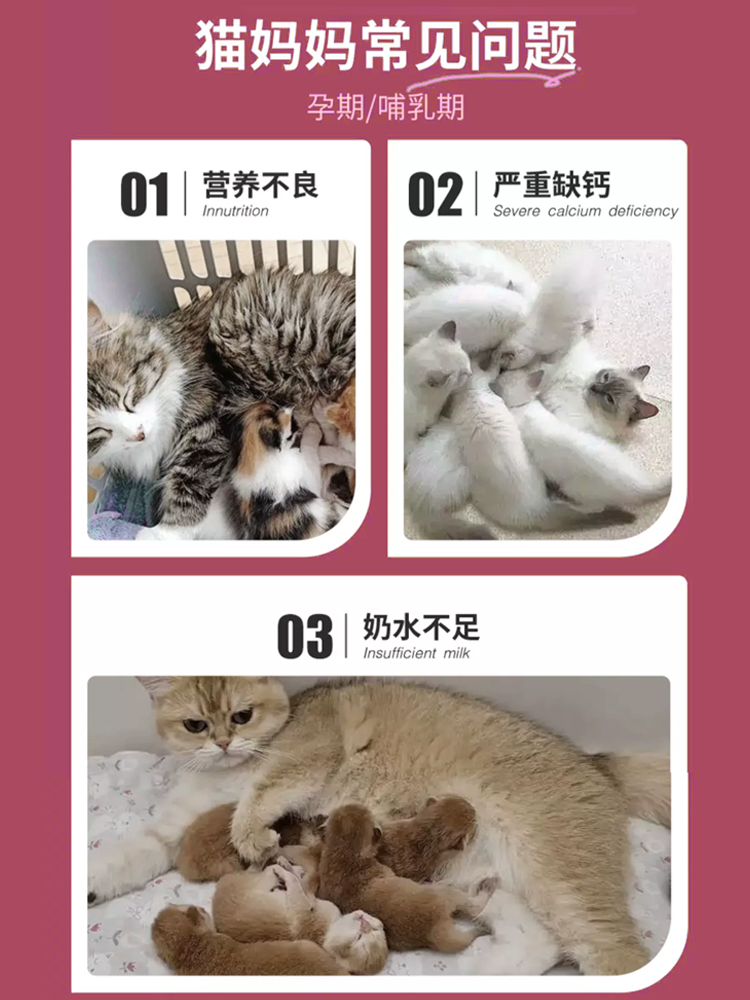 猫妈妈怀孕猫咪哺乳期母猫产后营养品羊奶罐头补充月子餐下奶生产 - 图2