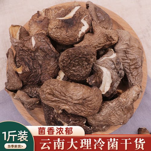 大理冷菌干货500g云南特产鸡足山菌菇北风菌野生菌干蘑菇煲汤食材 - 图0