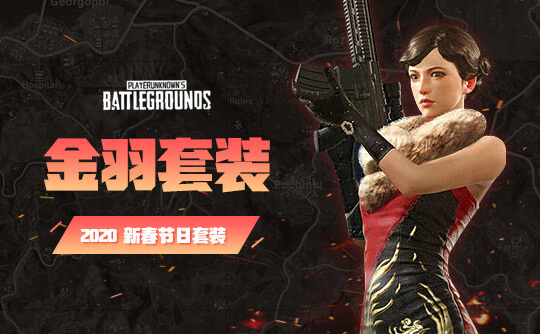 PUBG绝地求生皮肤 金羽套装 发型珍珠真丝手套丝袜 吃鸡CDK兑换码 - 图0