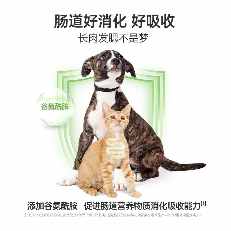 红狗补血肝精乳钙益生菌肠胃利尿通营养液营养补充50ml*2 - 图3