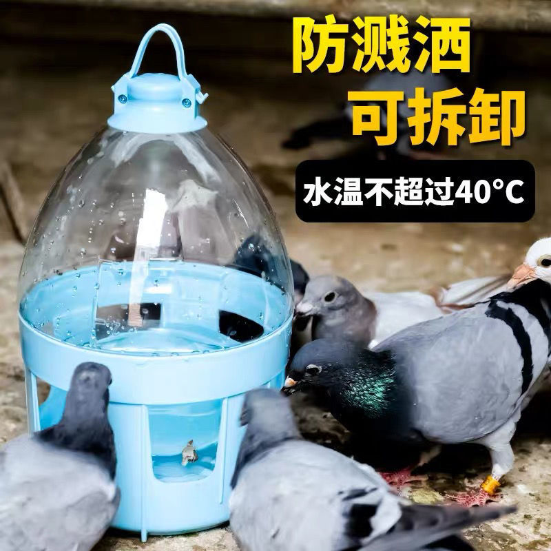 鸽子饮水器水壶信鸽用品自动喂水干净卫生鸽子用品用具赛鸽水壶-图2