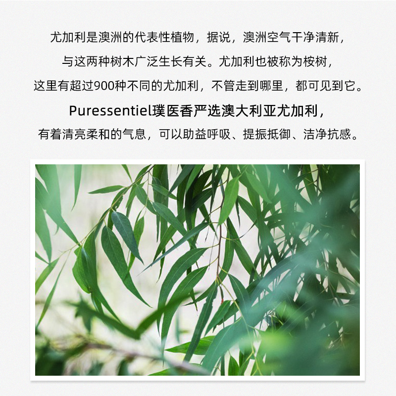 Puressentiel璞医香法国澳洲尤加利单方桉树精油通鼻顺畅呼吸香薰