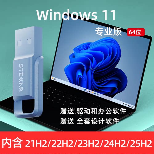 windows7/8/10/11专业旗舰企业版LTSC电脑系统安装U盘正版纯净版 - 图0