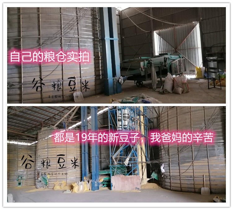 2019年新豆农家自种黄豆东北打豆浆 胜格黄豆