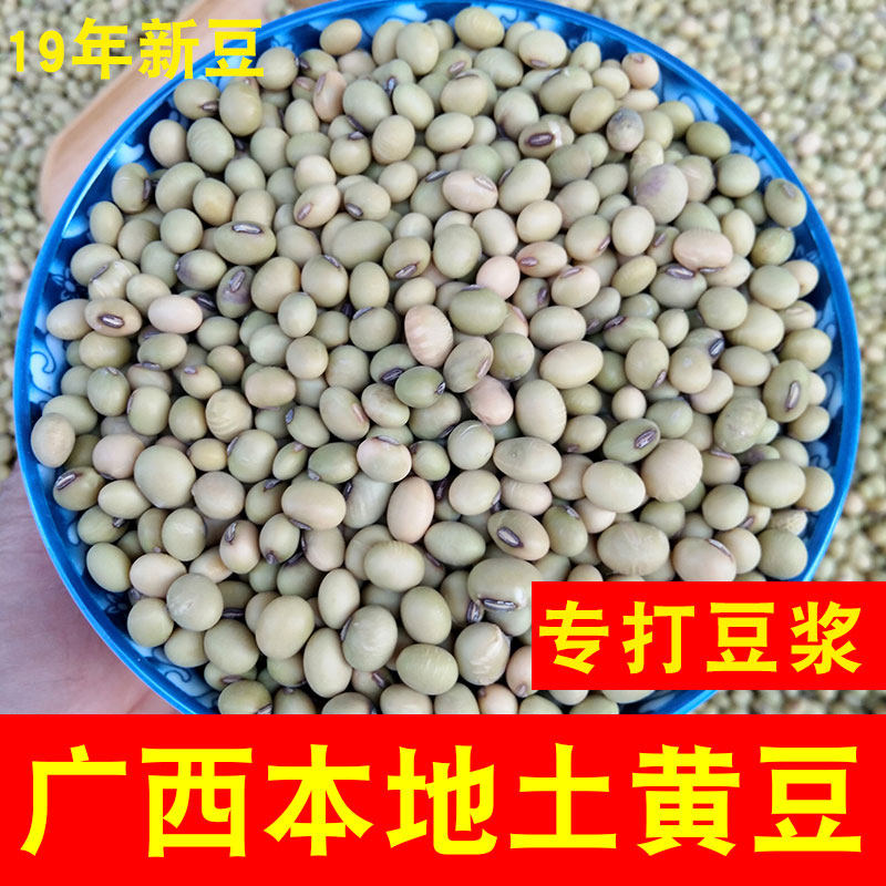 广西农家自种非转基因本地做打豆浆 胜格黄豆