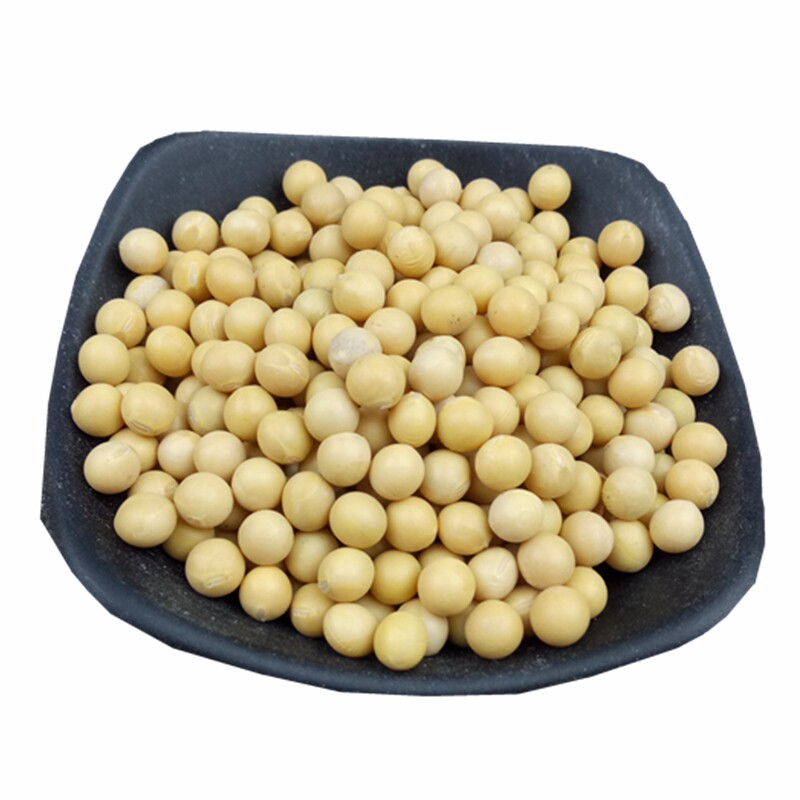 东北黄豆生豆芽打豆浆天然含硒大豆 胜格黄豆