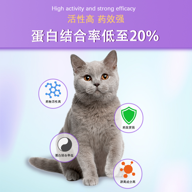 泰淘气头孢羟氨苄片外伤消炎药宠物猫咪狗感冒咳喘猫鼻支尿道口炎 - 图1