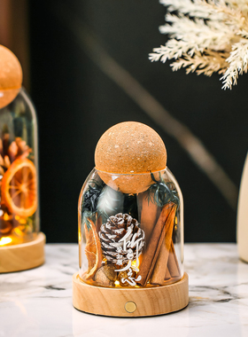 创意肉桂生财摆件家用无火香薰招财DIY收纳聚财瓶 办公桌面装饰品