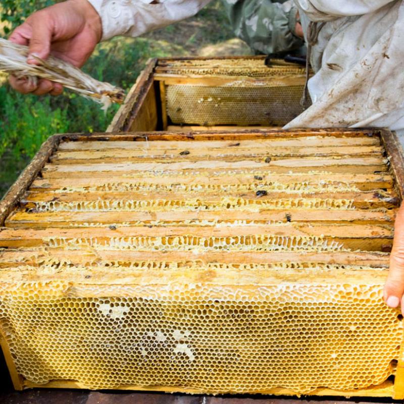 成品巢框中蜂蜂箱巢基蜂框装好巢础带框不锈钢丝养蜂蜜蜂巢框