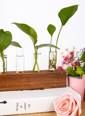 透明新款花瓶培植物创意木架水养绿萝花盆插花容器桌面装饰摆定制
