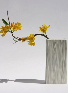 白色简约欧式陶瓷花瓶 素胚干花鲜花花插 创意工艺品桌面摆件定制