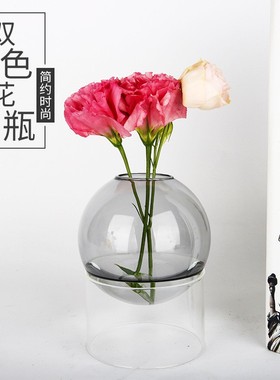 双色简易玻璃花瓶 玻璃品透明客厅餐桌摆件富贵竹鲜花百合干定制