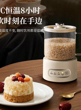 办公室小型养生壶煮茶炉电小茶壶