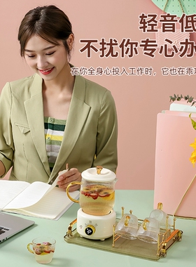养生壶多功能家用全自动加厚煮茶