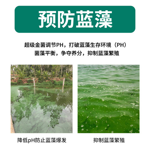 渔医师发酵菌砖复合发酵乳酸菌em菌水产养殖鱼蟹对虾调水抑制蓝藻 - 图0