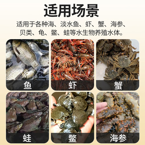 酵母肽肥低温肥水膏水产养殖鱼虾蟹贝蛙龟鳖海参肥水培藻预防青苔 - 图1