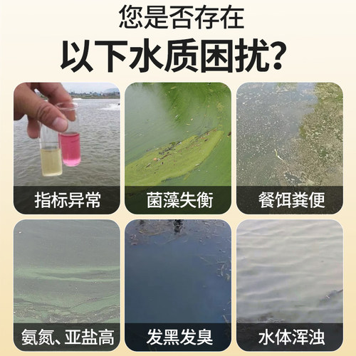 酵母肽肥低温肥水膏水产养殖鱼虾蟹贝蛙龟鳖海参肥水培藻预防青苔 - 图0