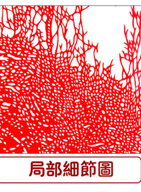 融雪中国风纯手工剪纸底稿虎年剪纸大图稿刻纸窗花素材工具