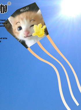 可爱猫猫死对头哈喽小咪猫meme春天微风易飞高颜值可爱手持钓鱼竿