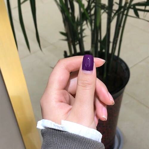 花芽秋冬显白香水草紫色酱果紫美甲店专用光疗指甲油胶欧美时尚紫 - 图2