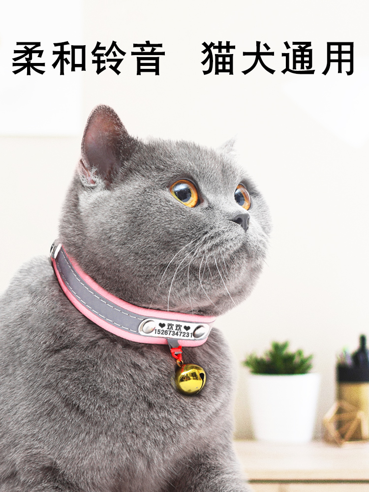 狗狗项圈猫项圈狗牌定制刻字防丢带铃铛中型小型犬吊牌脖圈牵引绳-图1