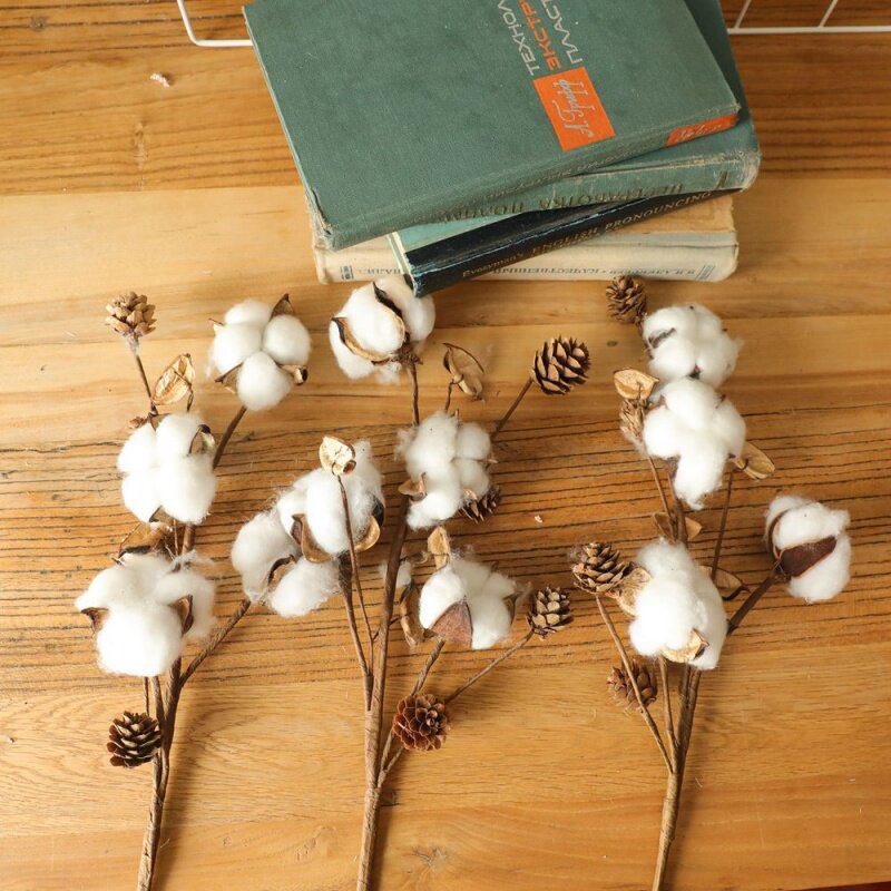 假植物棉花 新人首单立减十元 21年8月 淘宝海外