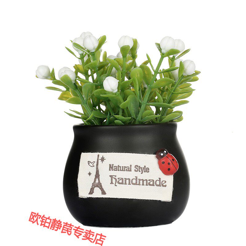 車內植物盆栽 新人首單立減十元 21年7月 淘寶海外