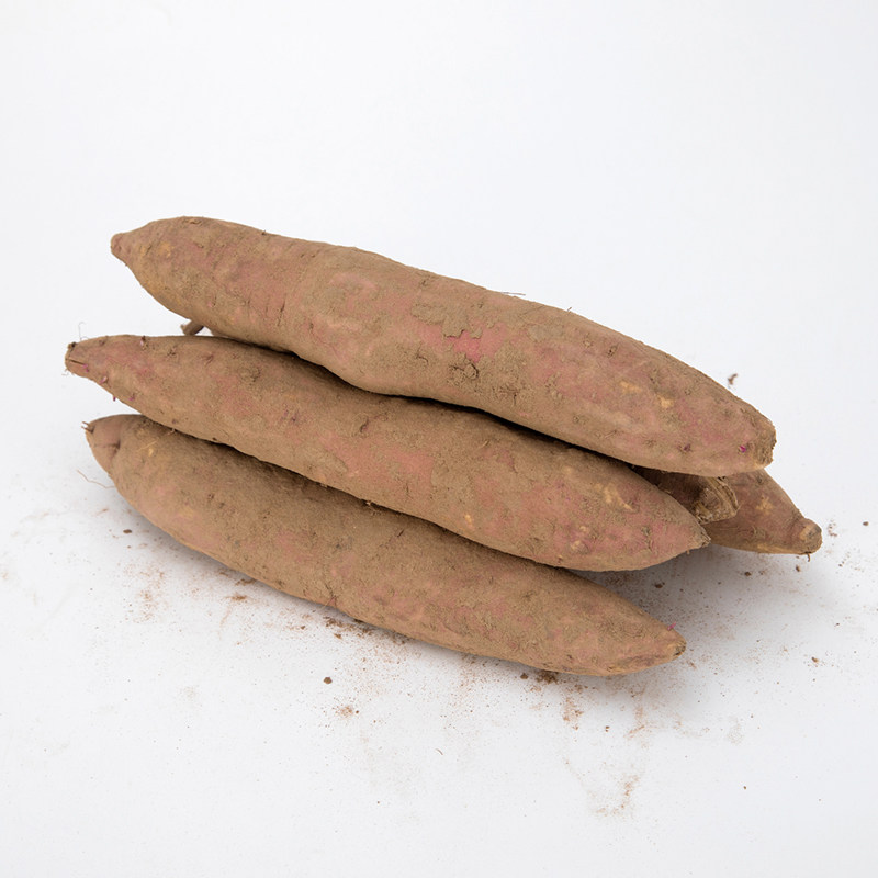 陕西白心沙地蜜薯2020新鲜板栗红薯 芬掌柜番薯