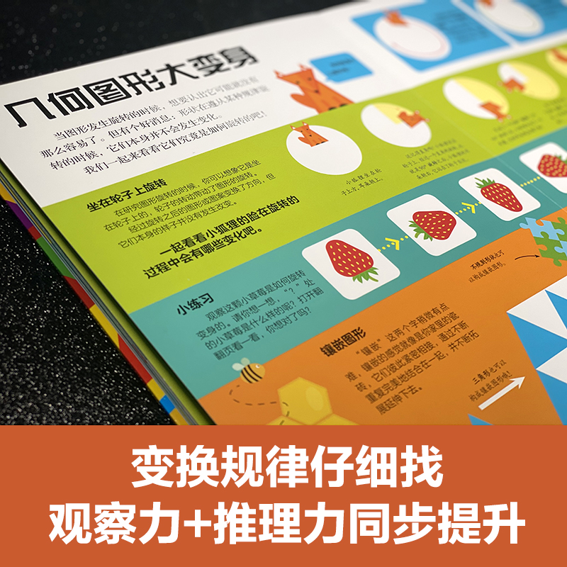 DK我的第一本几何思维启蒙书 幼小衔接培养空间感 直扣小学重难点 几何教具跃然纸上 帮孩子进行多感官深入学习
