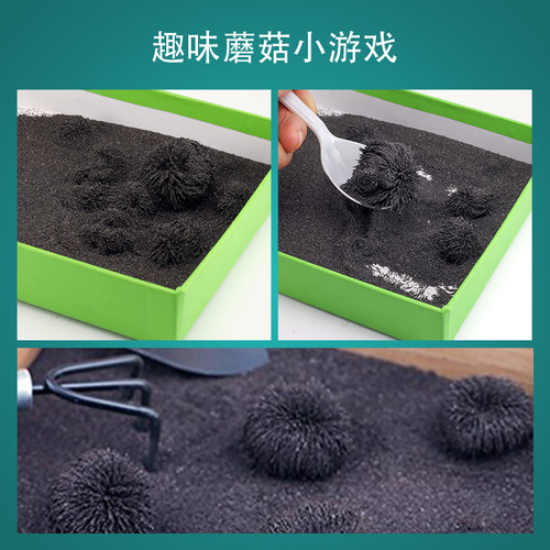 友磁教学磁粉套装实验铁屑铁沙DIY磁性泥磁性油漆磁吸铁粉 - 图1