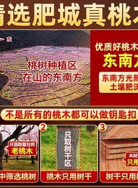 桃木山鬼花钱吊坠项炼官方旗舰店汽车钥匙扣随身平安古钱币挂件