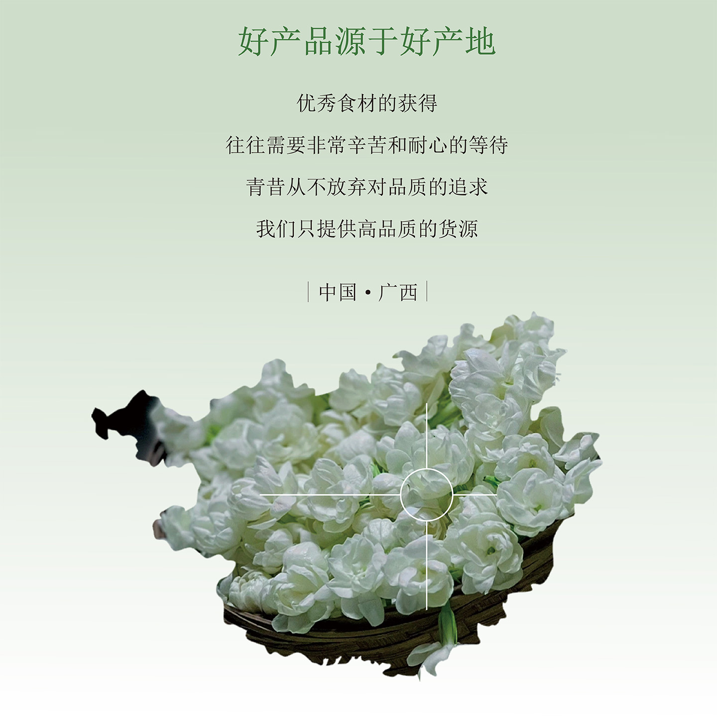 青昔茉莉花茶粉烘焙蛋糕面包茶饮冲饮奶茶店专用原料商用批发50g - 图1