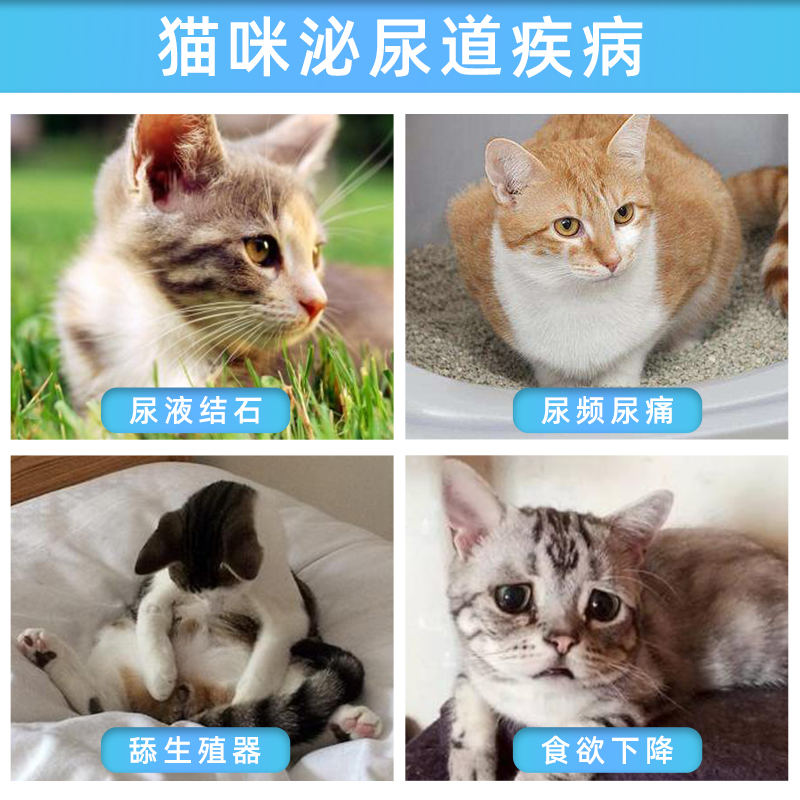 包邮正品法国皇家猫泌尿道处方粮6kg宠物猫粮lp34防伪正品医院供-图1