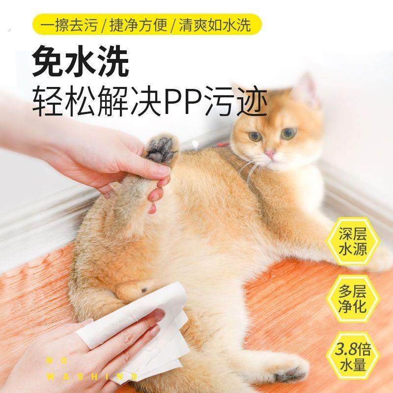宠物清洁湿巾猫咪狗狗专用除臭湿巾纸湿纸巾擦脚屁股纯水猫咪用品,淘宝优惠券,粉丝福利购,淘宝优惠卷