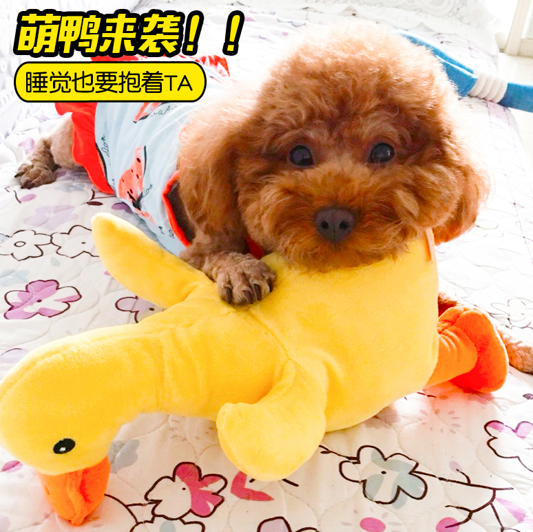 宠物狗狗玩具狗发泄毛绒中小型犬小狗陪伴发声泰迪公狗发情期用品