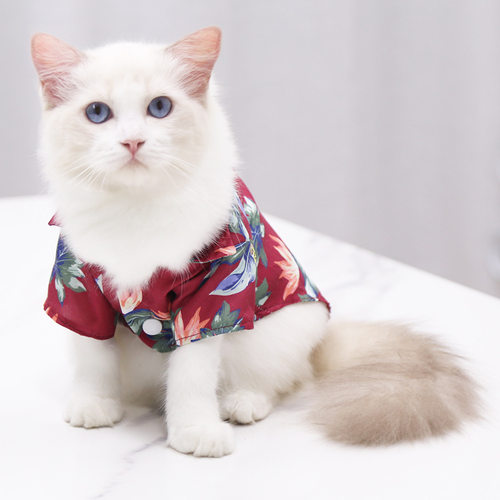金毛沙滩菠萝衬衫狗休闲大型犬服饰宠物狗狗猫咪中小型犬法斗衣服 - 图1
