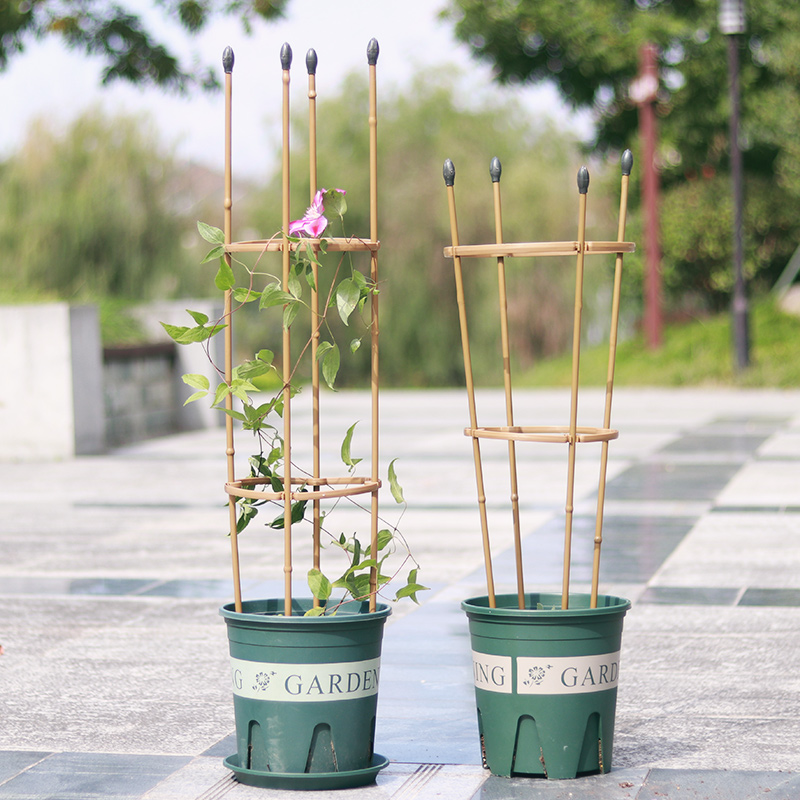 植物花卉爬藤架铁线莲月季花支架仿竹子圆柱花架室内固定花支撑杆-图0