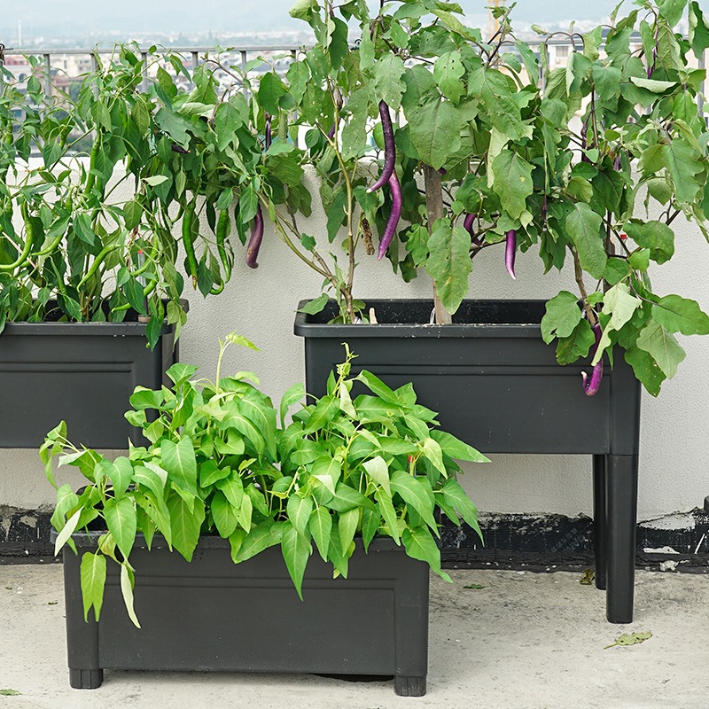 阳台种菜盆家庭自吸水懒人蓄水种植花盆长方形塑料定植盆高脚花盆