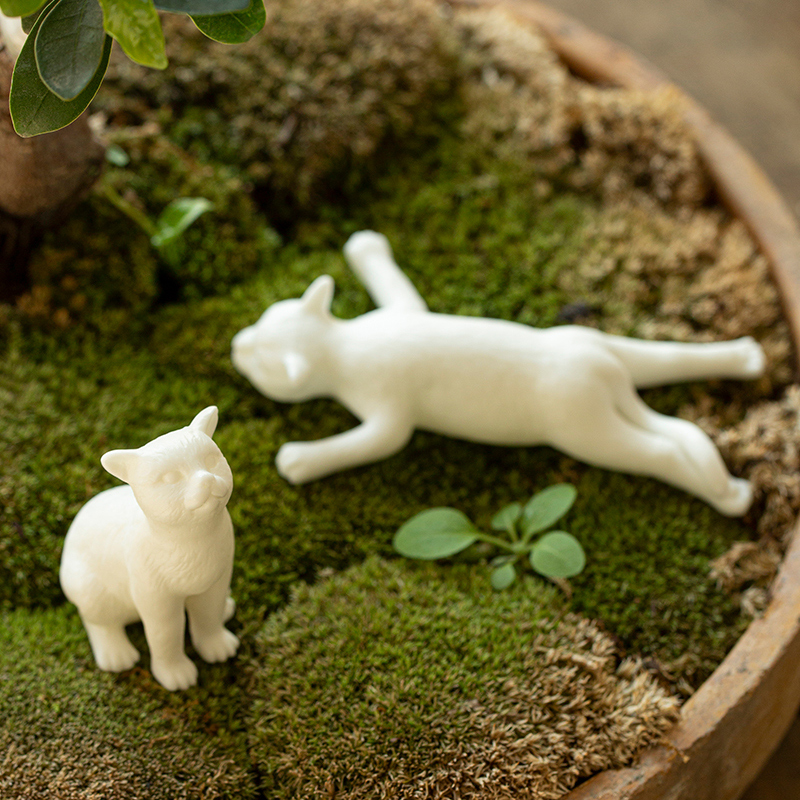 招财猫花盆 新人首单立减十元 21年7月 淘宝海外