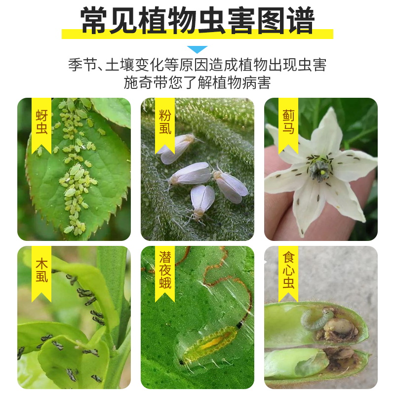 施奇乐圃蚜虫专用药蚜虫杀虫剂花卉蔬菜噻虫嗪高效氯氟氰菊酯植物 - 图2