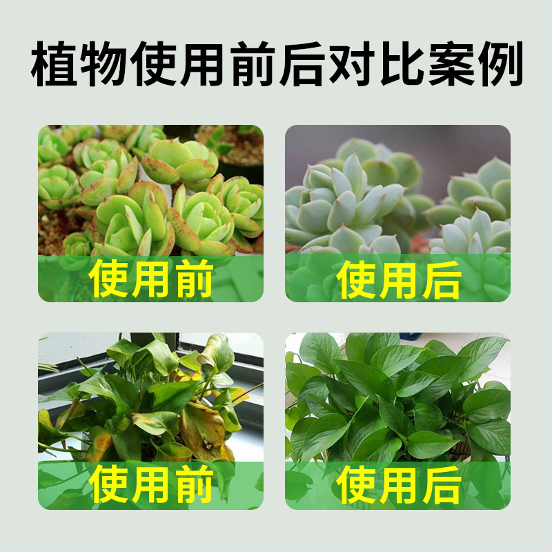 通用型植物营养液家用盆栽富贵竹绿植发财树酸性水培绿萝专用肥料 - 图1