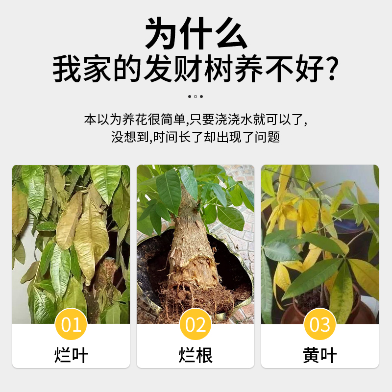 通用型植物营养液家用盆栽富贵竹绿植发财树酸性水培绿萝专用肥料 - 图0