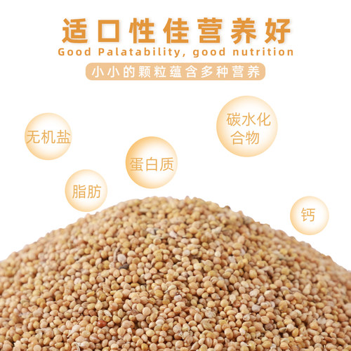 黄谷子带壳小米5斤粮食虎皮牡丹玄凤鸟粮食物鸟食小型鹦鹉鸟饲料 - 图3