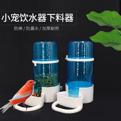 文鸟虎皮鸟用饮水器自动喂食喂鸟器鹦鹉食盒鸟食罐水杯鸟笼配件 - 图0