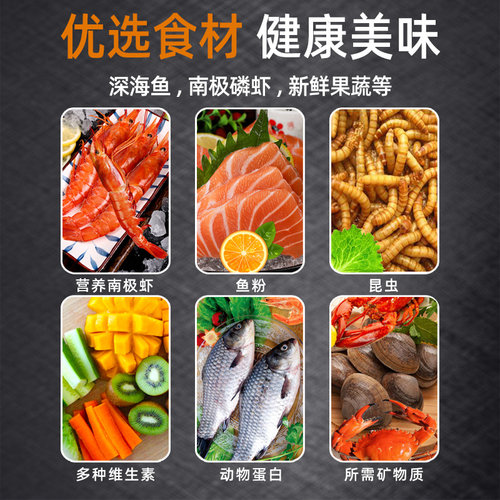 龟粮鳄龟饲料爆刺纯佛大鳄龟专用龟食小幼龟杂佛鳄鱼龟食物龟饲料 - 图1